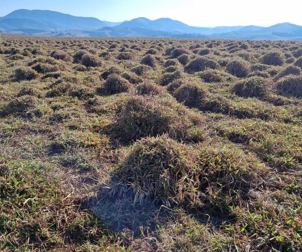 Chácara à venda com 3 quartos, 2090000m² - Foto 14