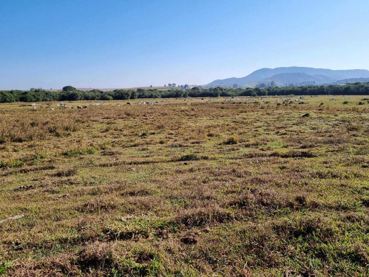 Chácara à venda com 3 quartos, 2090000m² - Foto 11