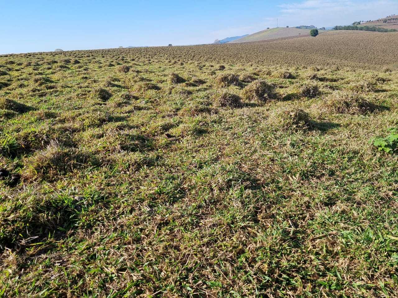 Chácara à venda com 3 quartos, 2090000m² - Foto 12