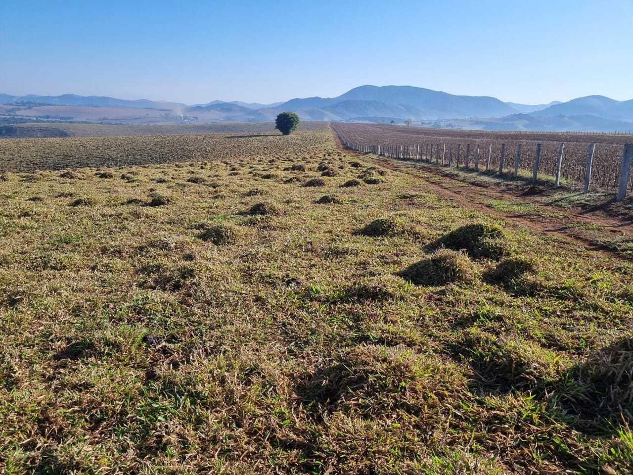 Chácara à venda com 3 quartos, 2090000m² - Foto 17