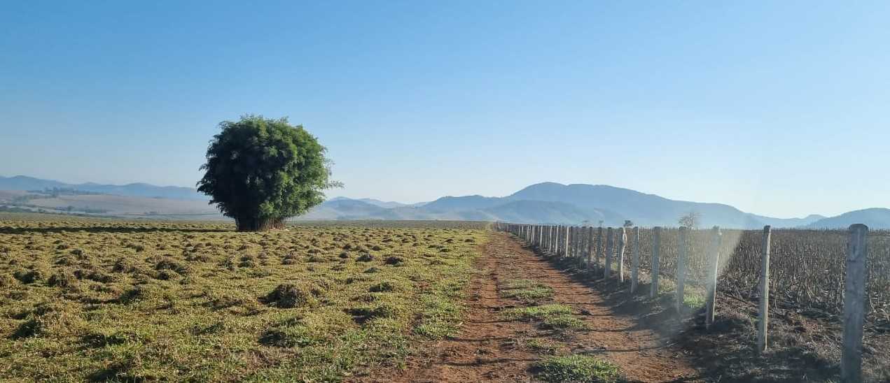 Chácara à venda com 3 quartos, 2090000m² - Foto 18