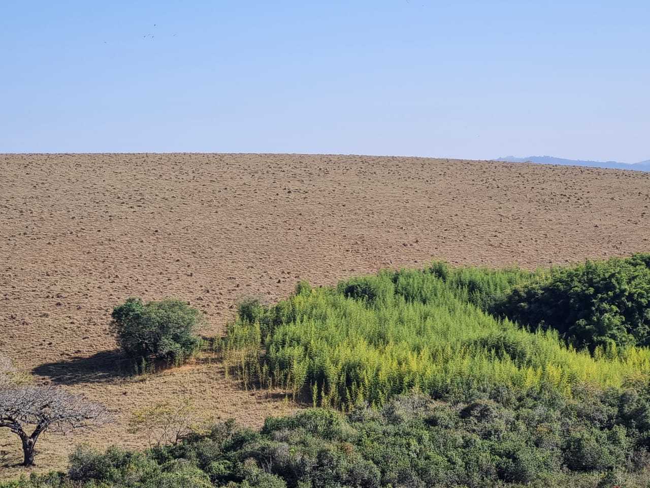 Chácara à venda com 3 quartos, 2090000m² - Foto 5