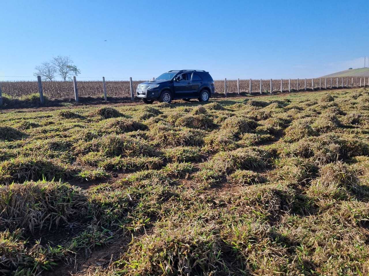 Chácara à venda com 3 quartos, 2090000m² - Foto 3