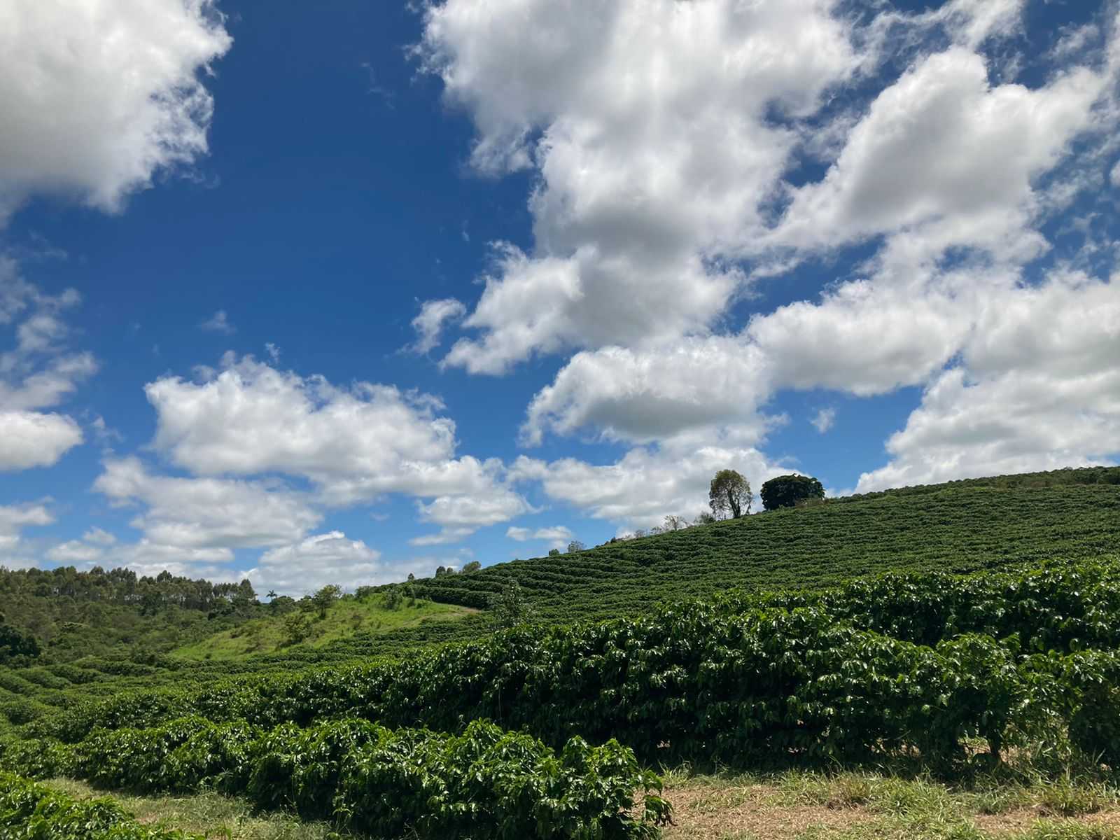 Chácara à venda com 4 quartos, 3840000m² - Foto 3