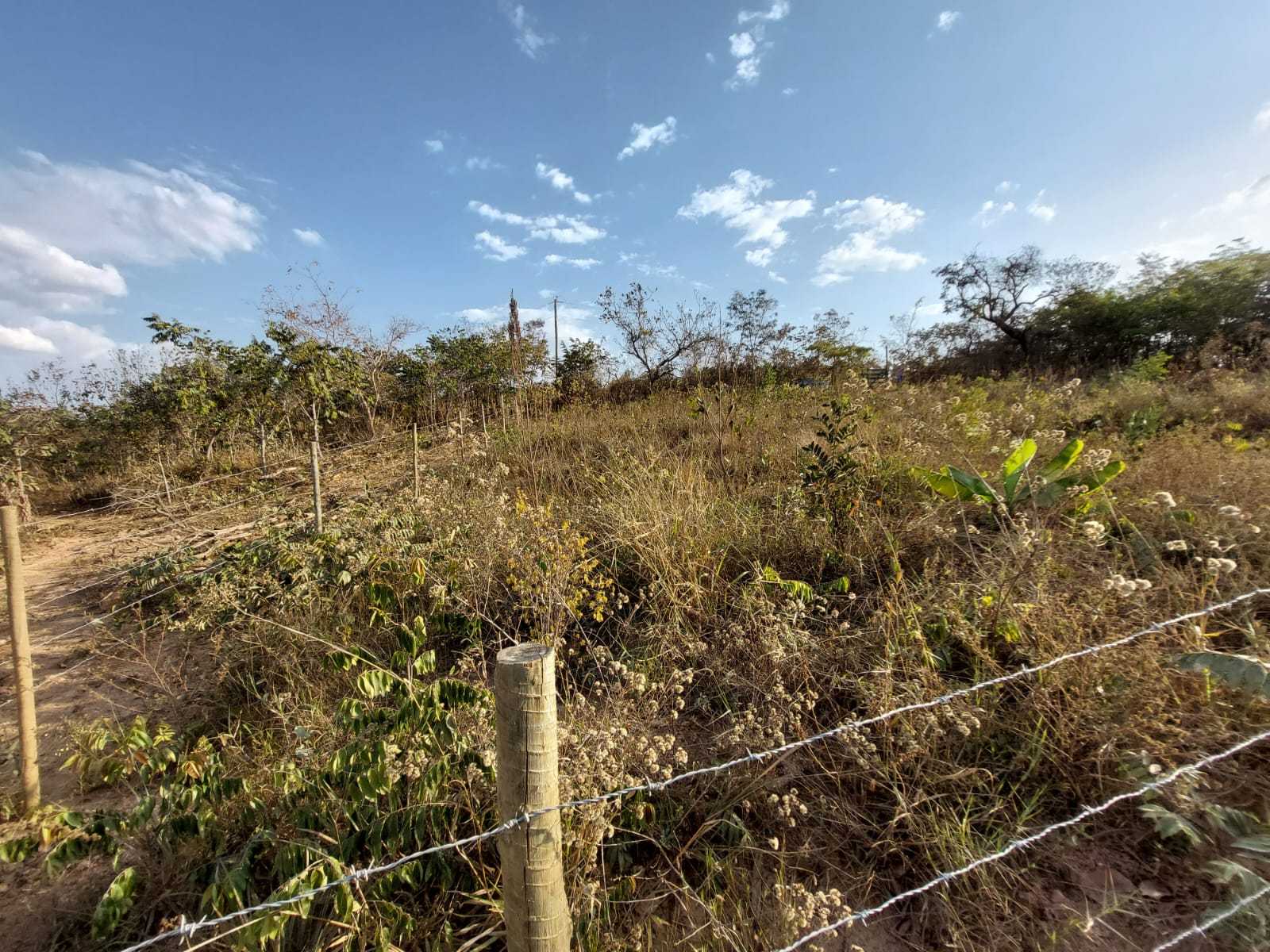 Terreno à venda, 1000m² - Foto 5