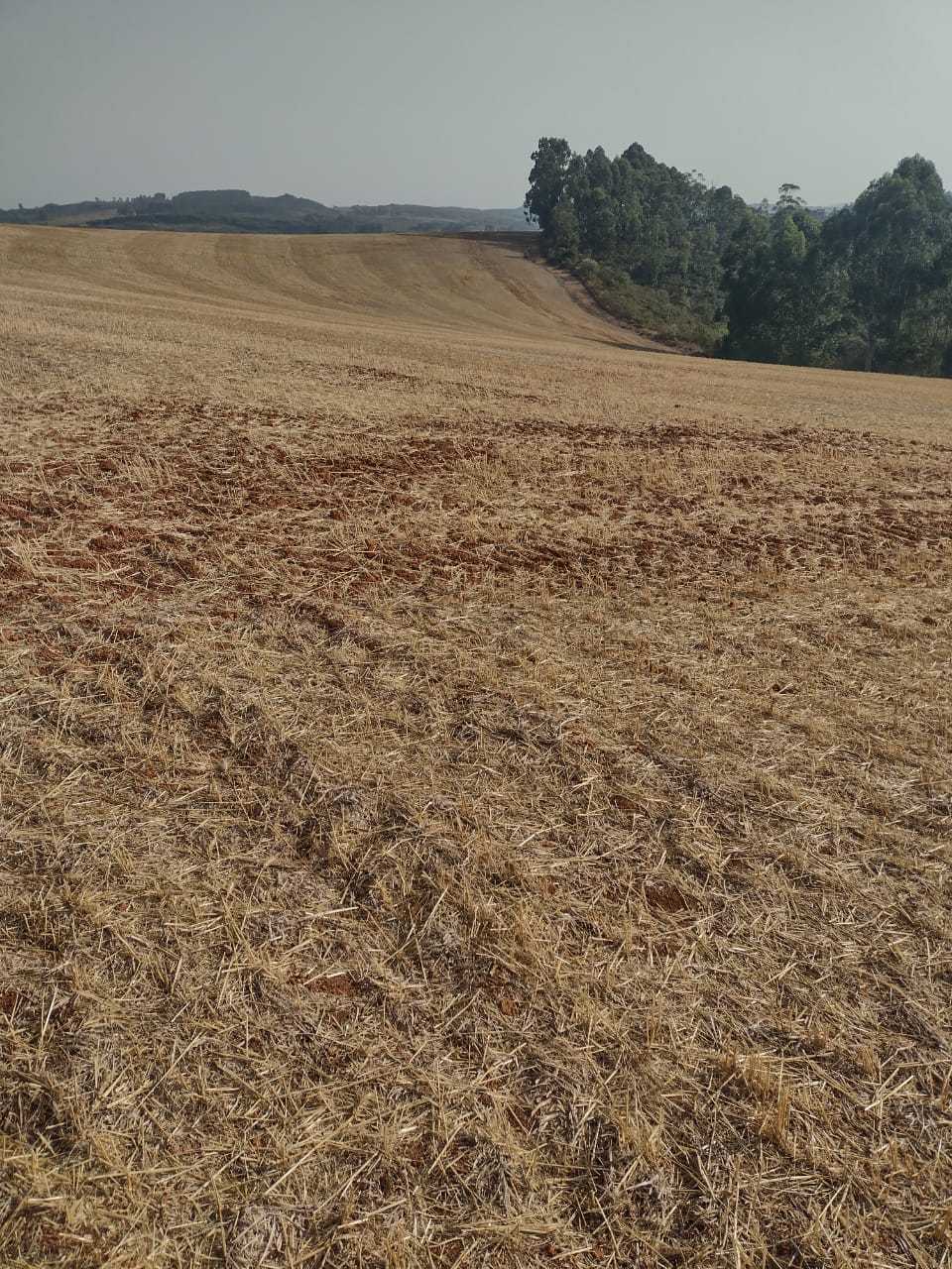 Chácara à venda com 1 quarto, 2000000m² - Foto 22