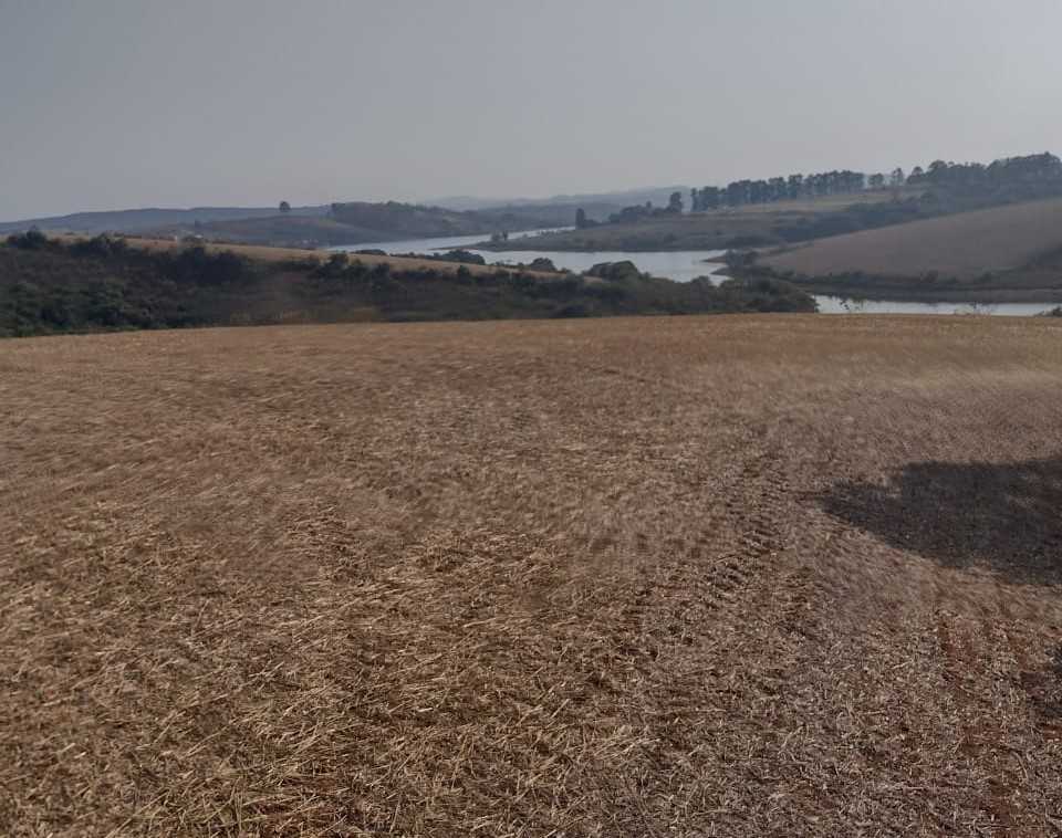 Chácara à venda com 1 quarto, 2000000m² - Foto 5