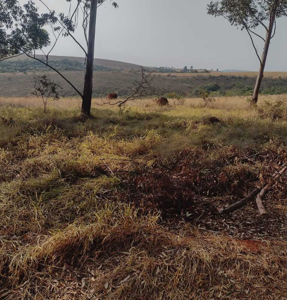 Chácara à venda com 1 quarto, 2000000m² - Foto 7