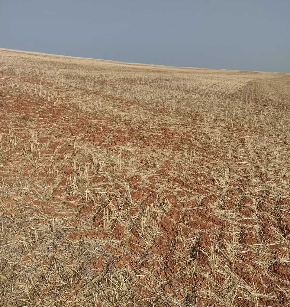 Chácara à venda com 1 quarto, 2000000m² - Foto 21