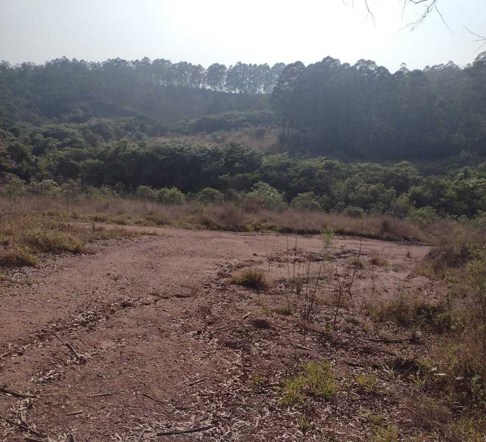 Chácara à venda com 1 quarto, 2000000m² - Foto 19