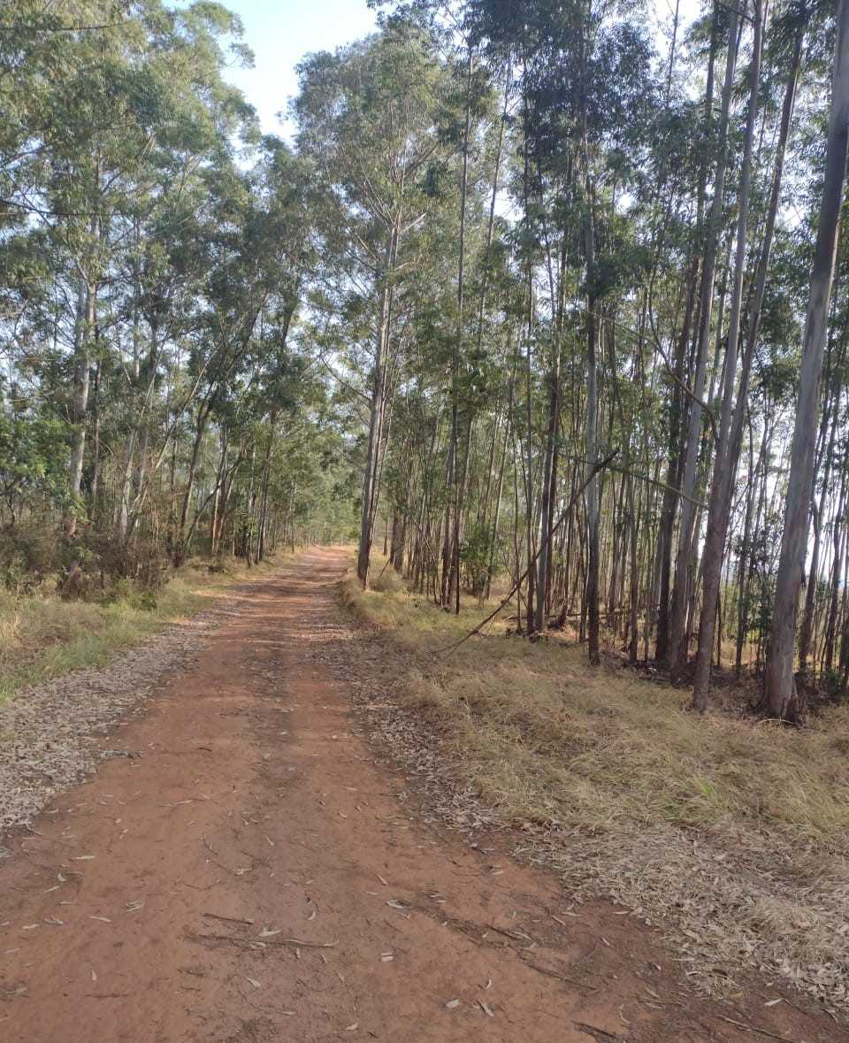 Chácara à venda com 1 quarto, 2000000m² - Foto 8