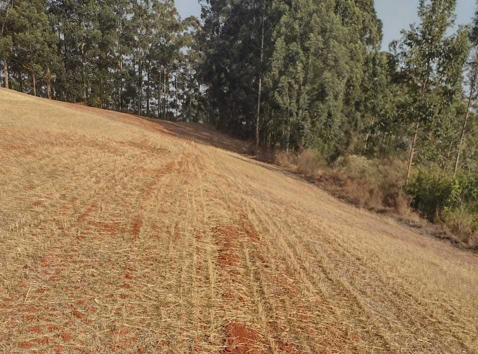 Chácara à venda com 1 quarto, 2000000m² - Foto 9