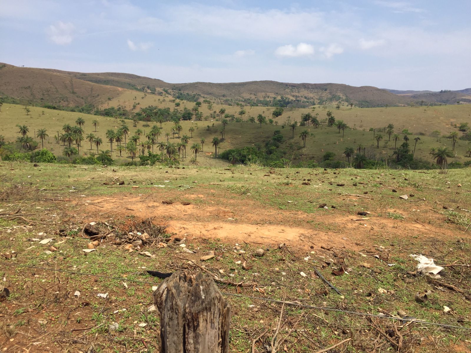 Chácara à venda com 2 quartos, 10000000m² - Foto 6