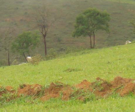 Chácara à venda com 4 quartos, 15000000m² - Foto 5