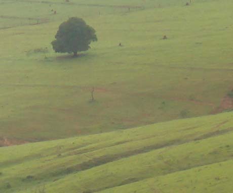 Chácara à venda com 4 quartos, 15000000m² - Foto 3