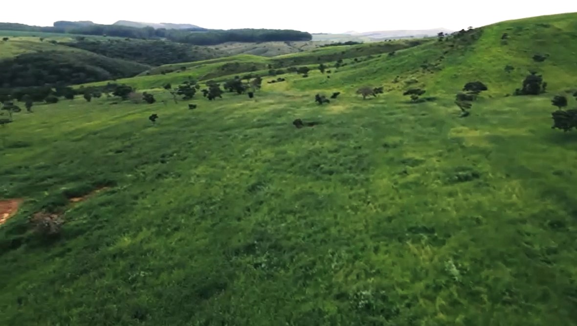 Chácara à venda com 9 quartos, 1940000m² - Foto 7