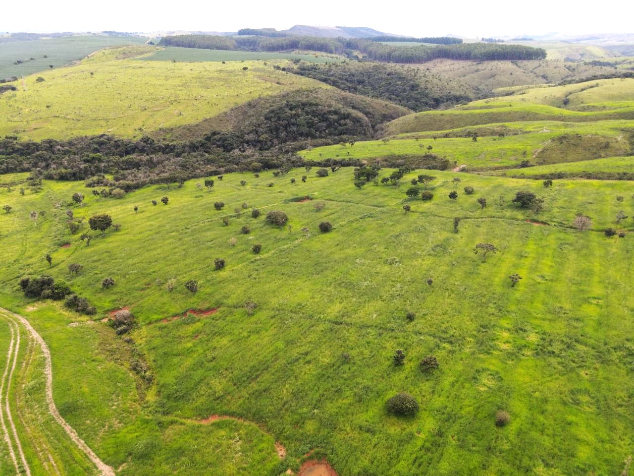 Chácara à venda com 9 quartos, 1940000m² - Foto 17