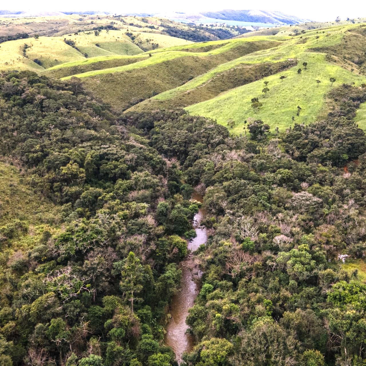 Chácara à venda com 9 quartos, 1940000m² - Foto 13