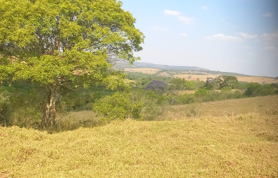 Chácara à venda com 4 quartos, 4200000m² - Foto 6