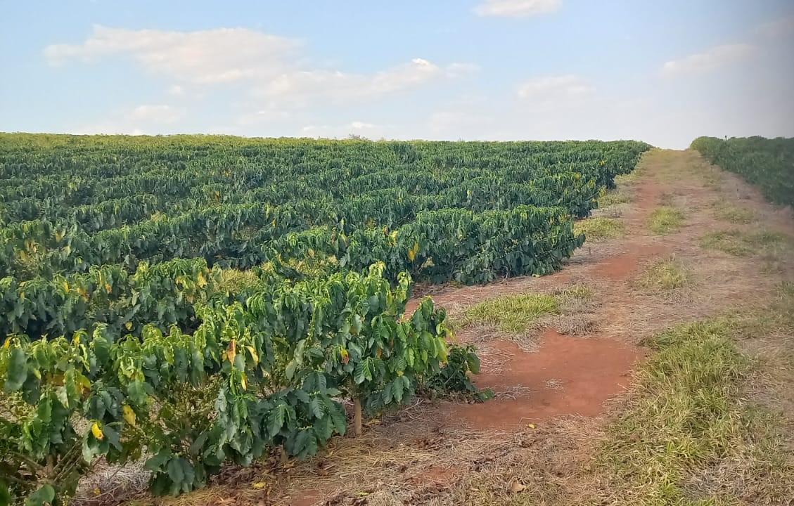 Chácara à venda com 4 quartos, 4200000m² - Foto 20