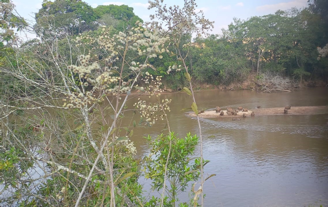 Chácara à venda com 4 quartos, 4200000m² - Foto 24