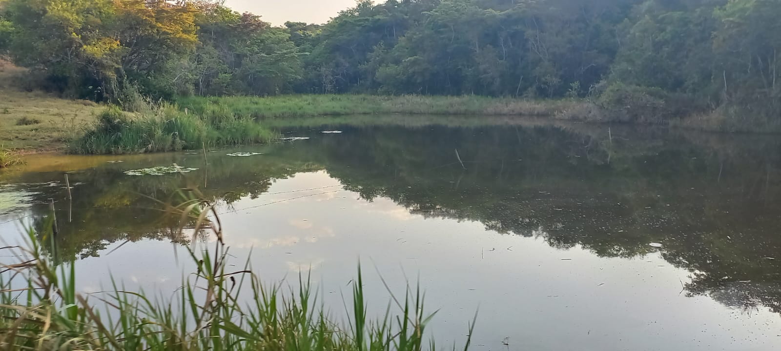 Chácara à venda com 4 quartos, 4200000m² - Foto 23