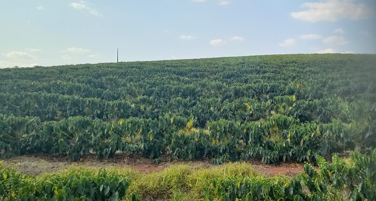 Chácara à venda com 4 quartos, 4200000m² - Foto 21