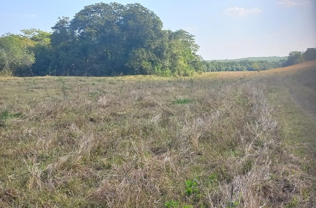 Chácara à venda com 4 quartos, 4200000m² - Foto 22