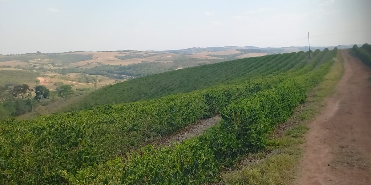 Chácara à venda com 4 quartos, 4200000m² - Foto 2