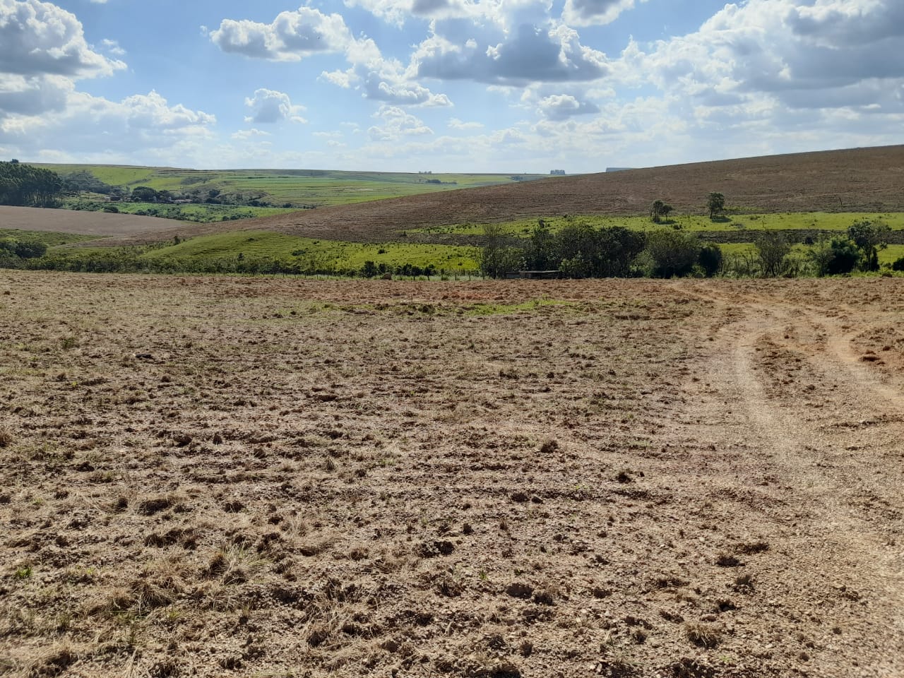 Chácara à venda com 1 quarto, 960000m² - Foto 4