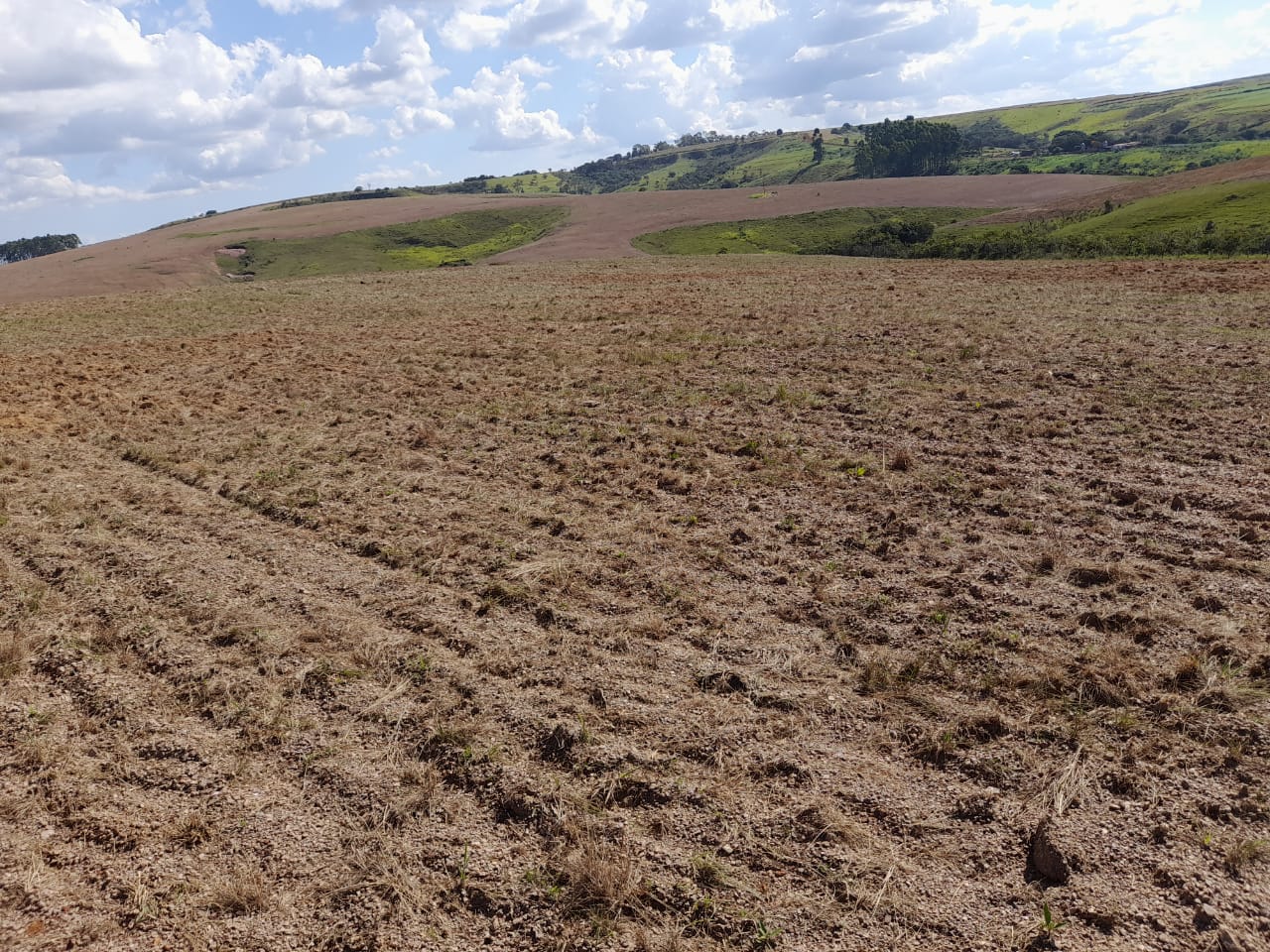 Chácara à venda com 1 quarto, 960000m² - Foto 3