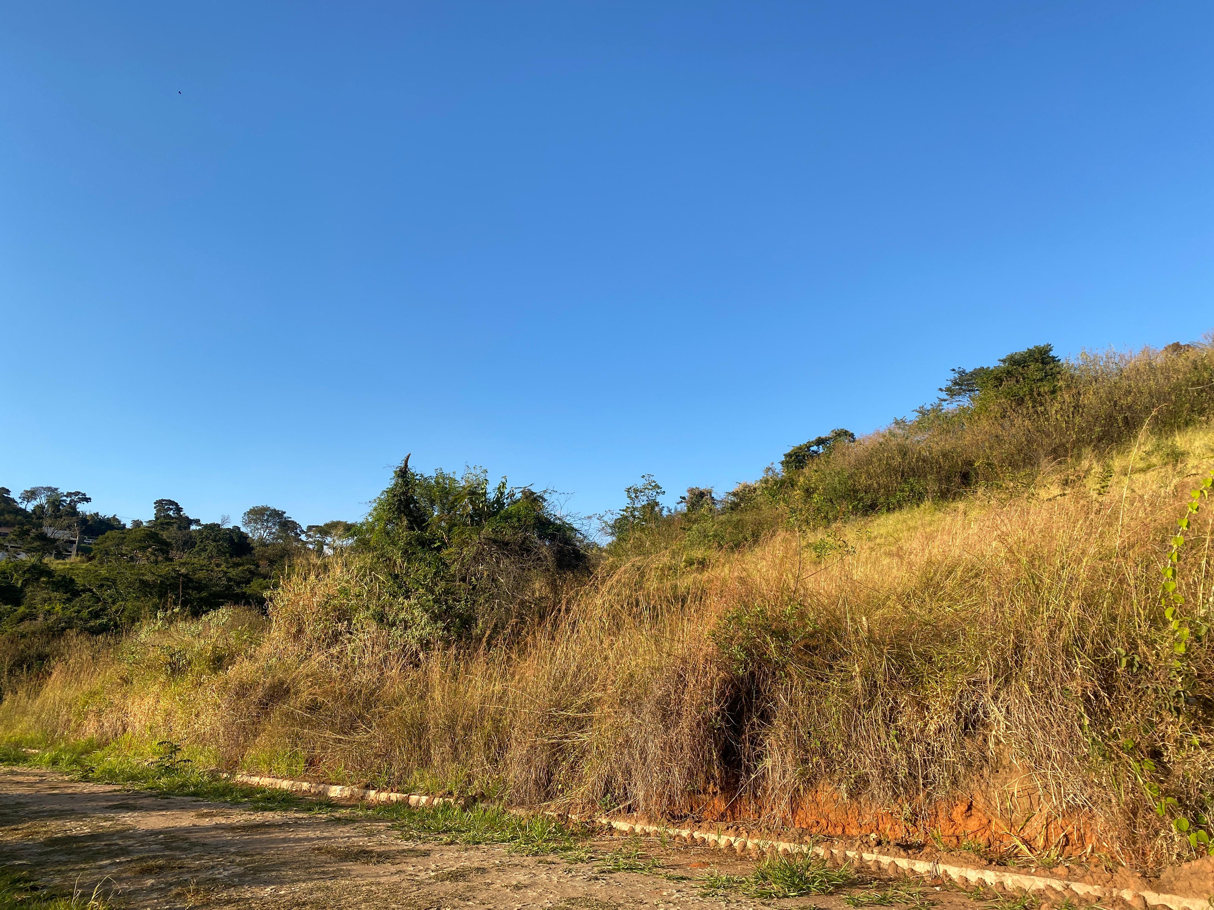 Terreno à venda, 1000m² - Foto 1