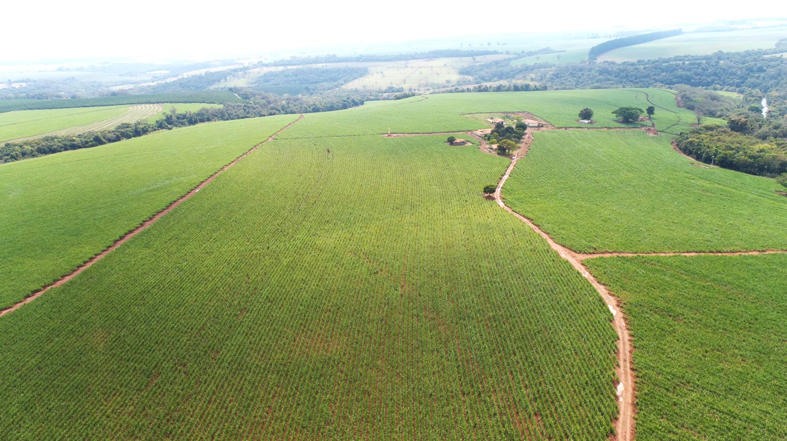 Chácara à venda com 3 quartos, 1936000m² - Foto 12