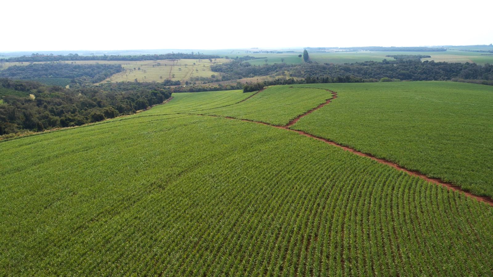 Chácara à venda com 3 quartos, 1936000m² - Foto 1