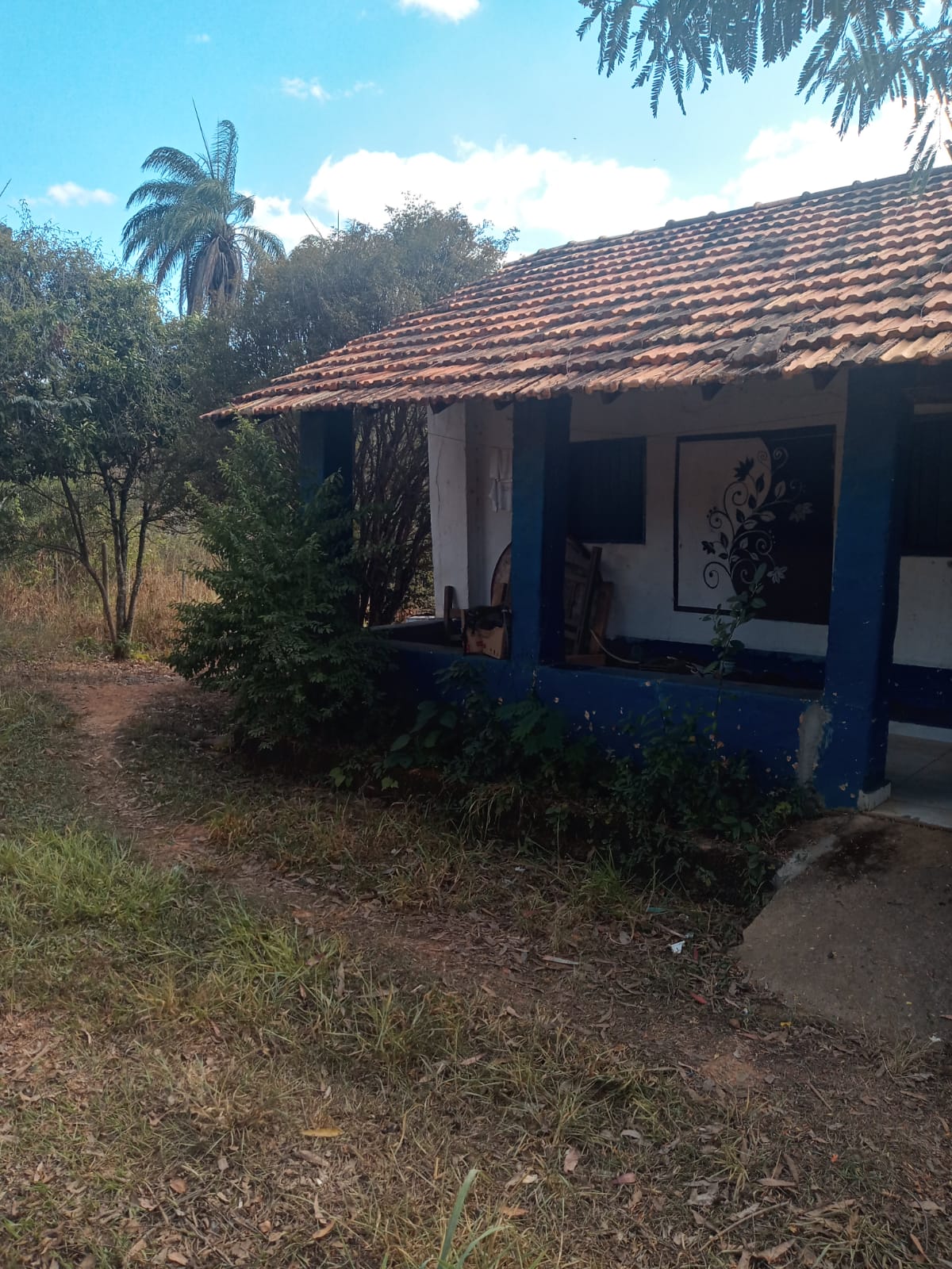 Chácara à venda com 3 quartos, 4000m² - Foto 14