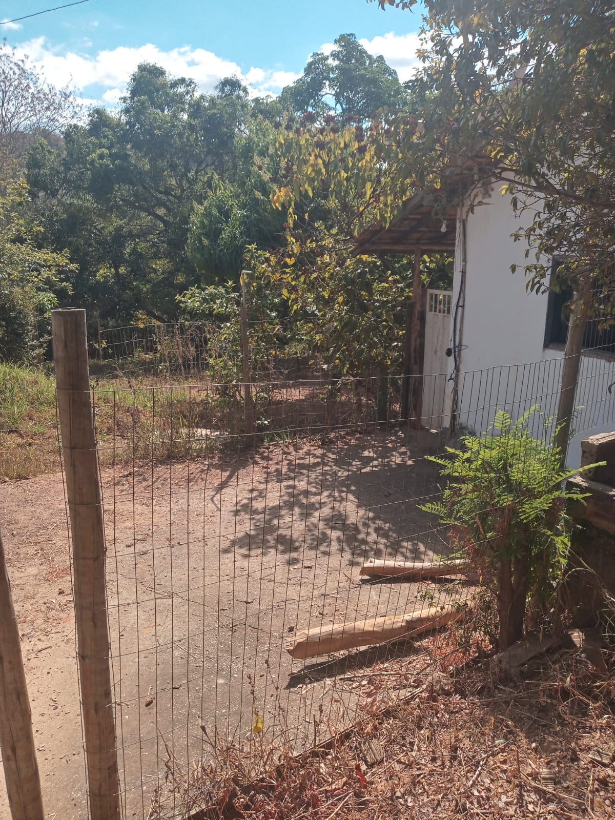 Chácara à venda com 3 quartos, 4000m² - Foto 11