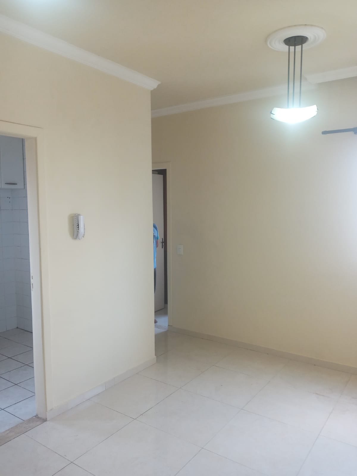 Apartamento à venda com 2 quartos, 48m² - Foto 4