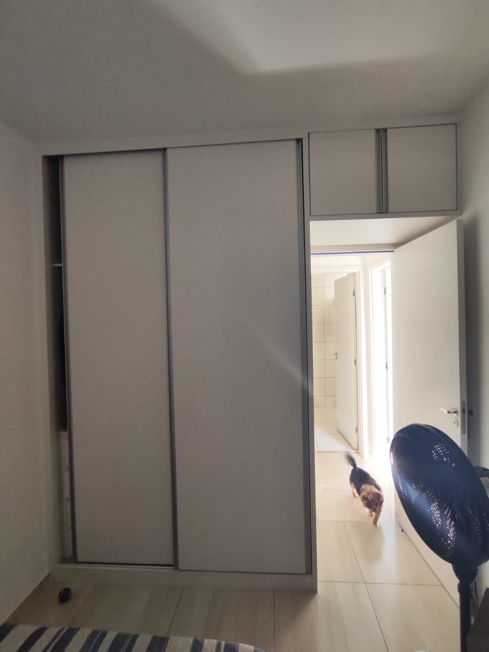 Apartamento à venda com 2 quartos, 65m² - Foto 12