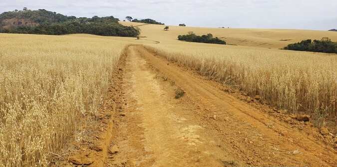 Chácara à venda com 3 quartos, 3130000m² - Foto 5