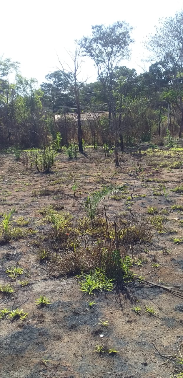 Terreno à venda, 1800m² - Foto 3