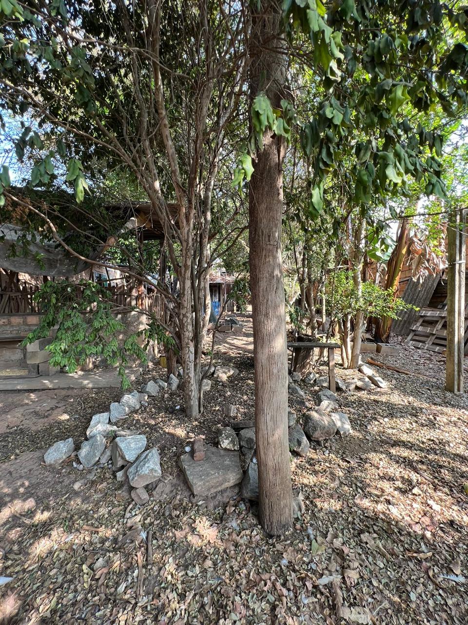 Terreno à venda, 360m² - Foto 4