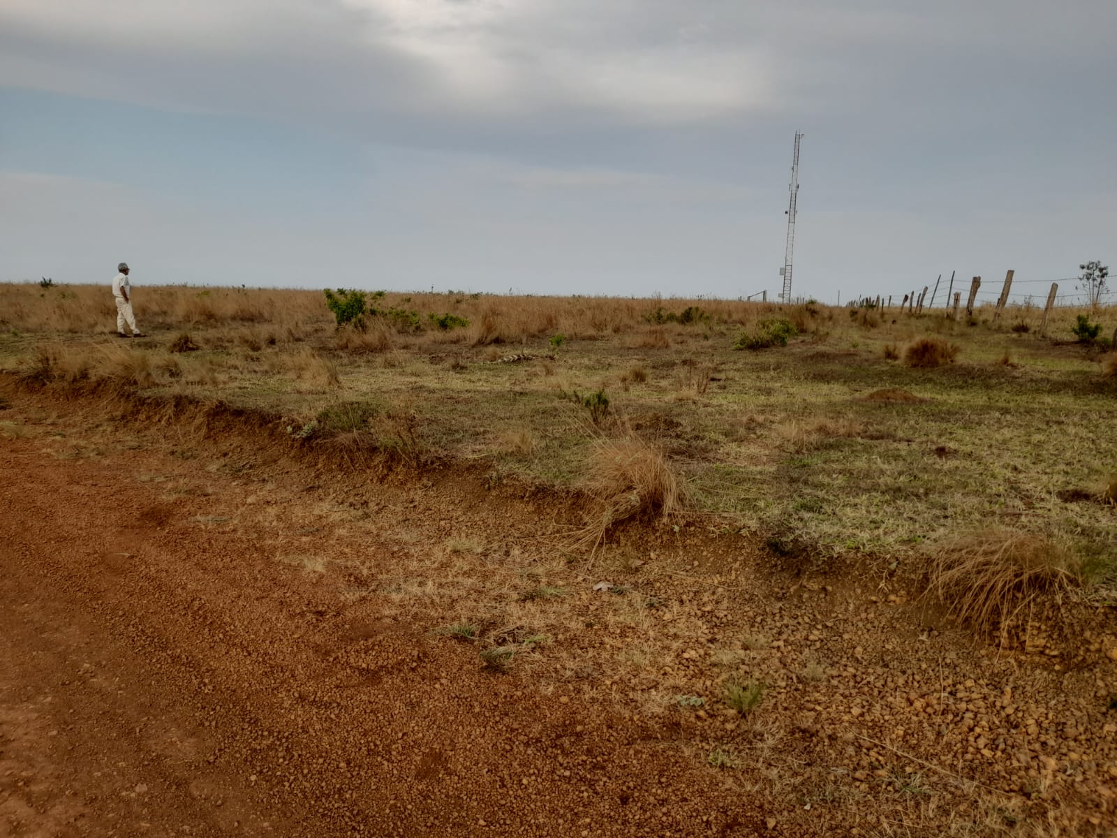 Chácara à venda com 1 quarto, 890000m² - Foto 3