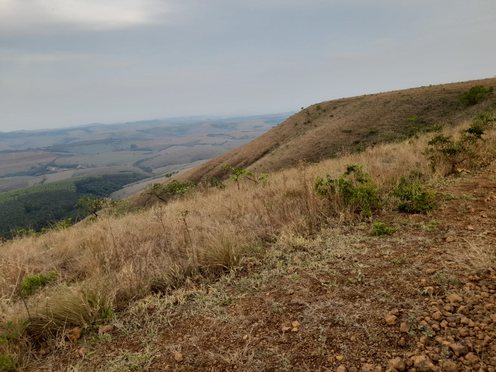 Chácara à venda com 1 quarto, 890000m² - Foto 13