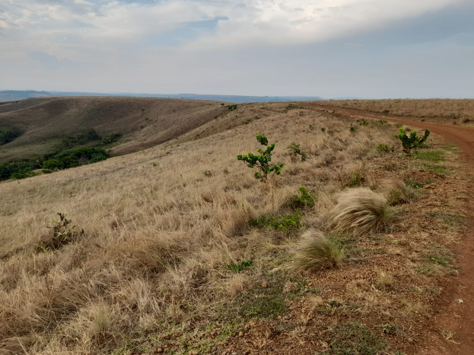 Chácara à venda com 1 quarto, 890000m² - Foto 1