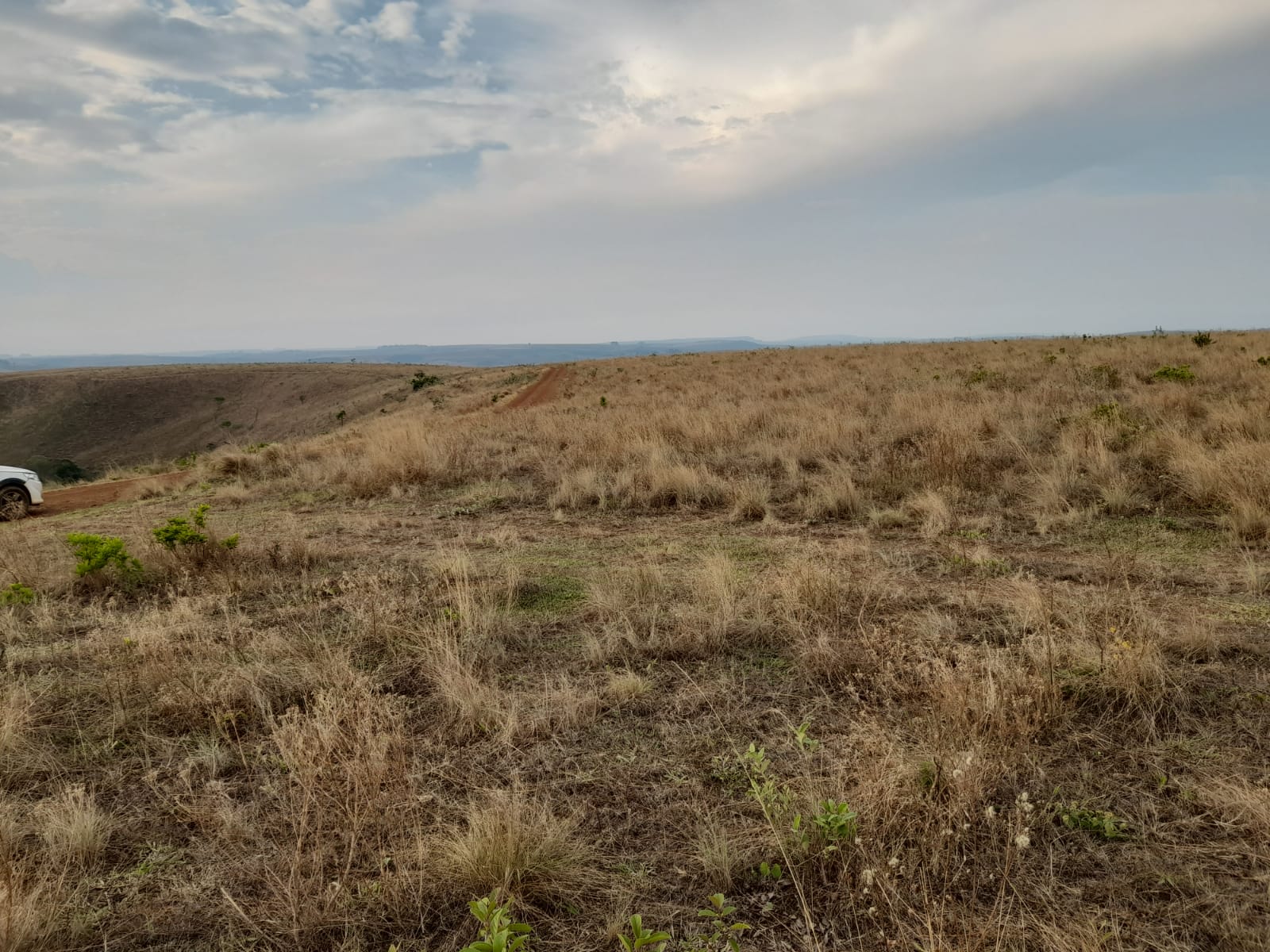 Chácara à venda com 1 quarto, 890000m² - Foto 5