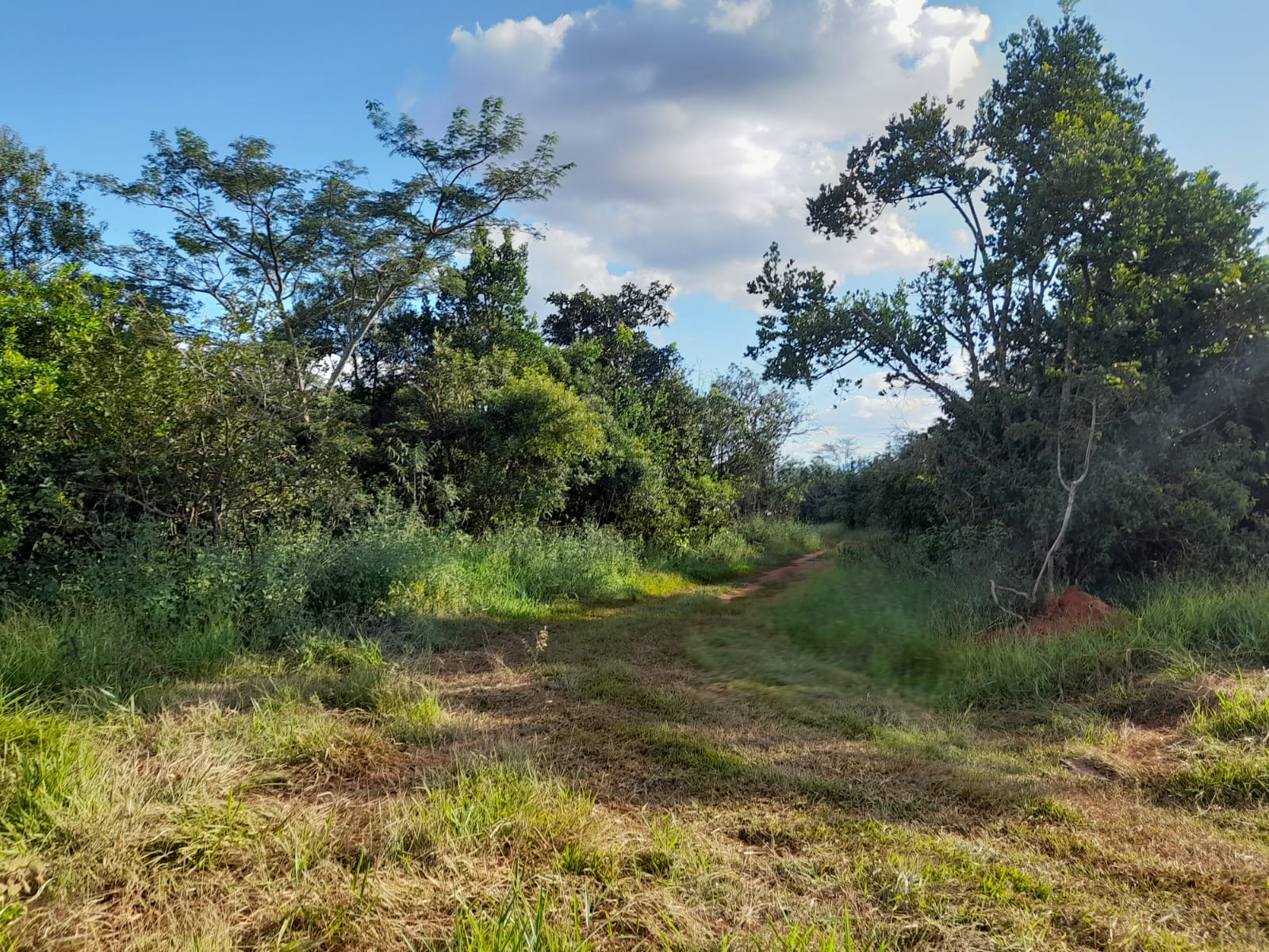 Chácara à venda com 1 quarto, 1000000m² - Foto 13