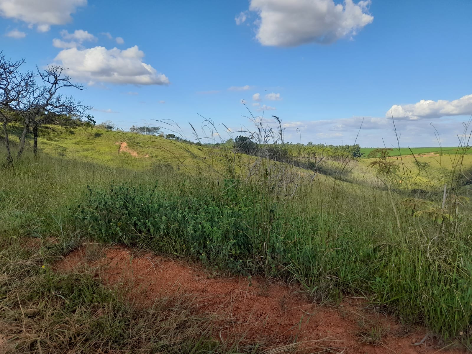 Chácara à venda com 1 quarto, 1000000m² - Foto 12