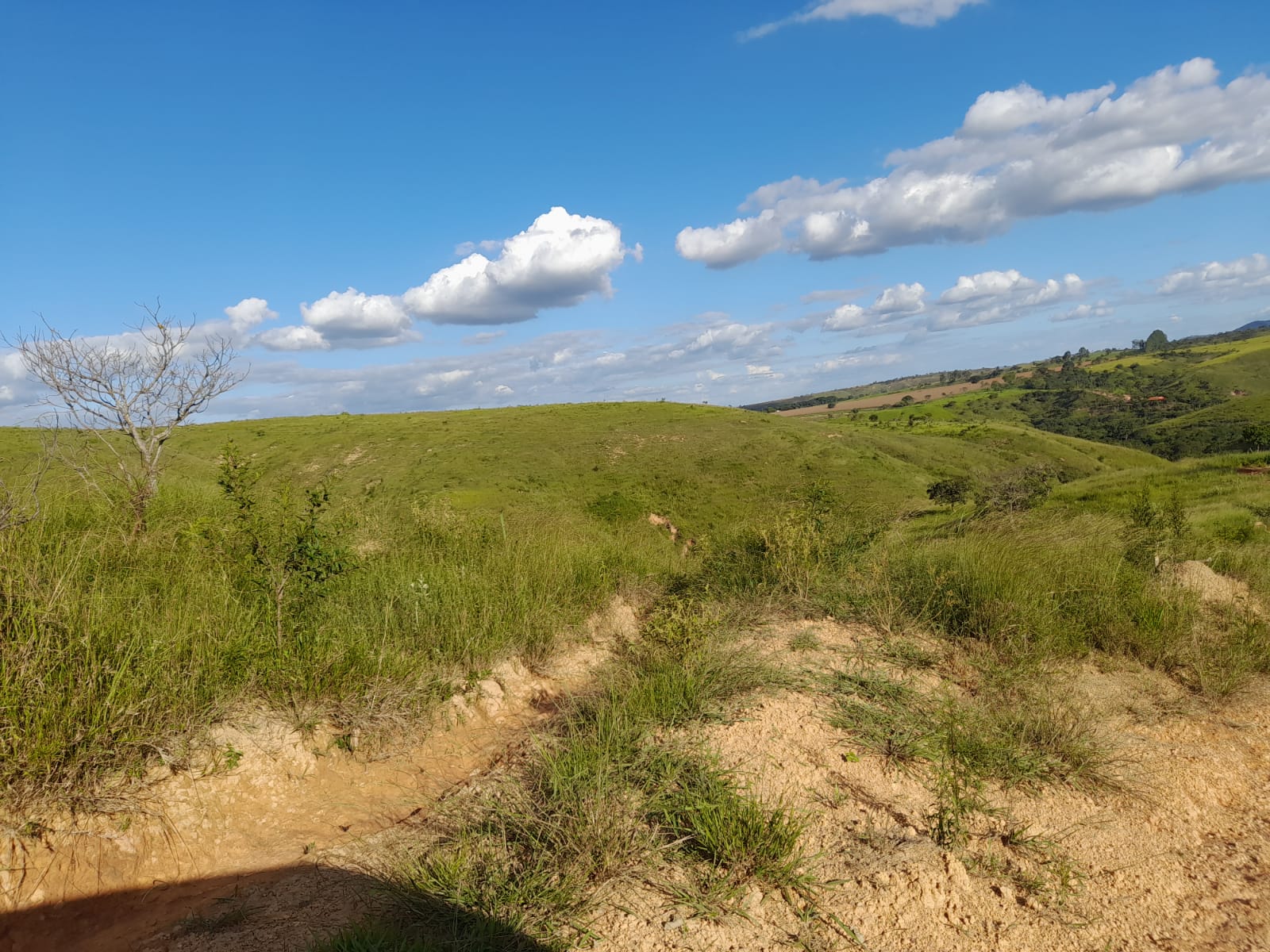 Chácara à venda com 1 quarto, 1000000m² - Foto 5