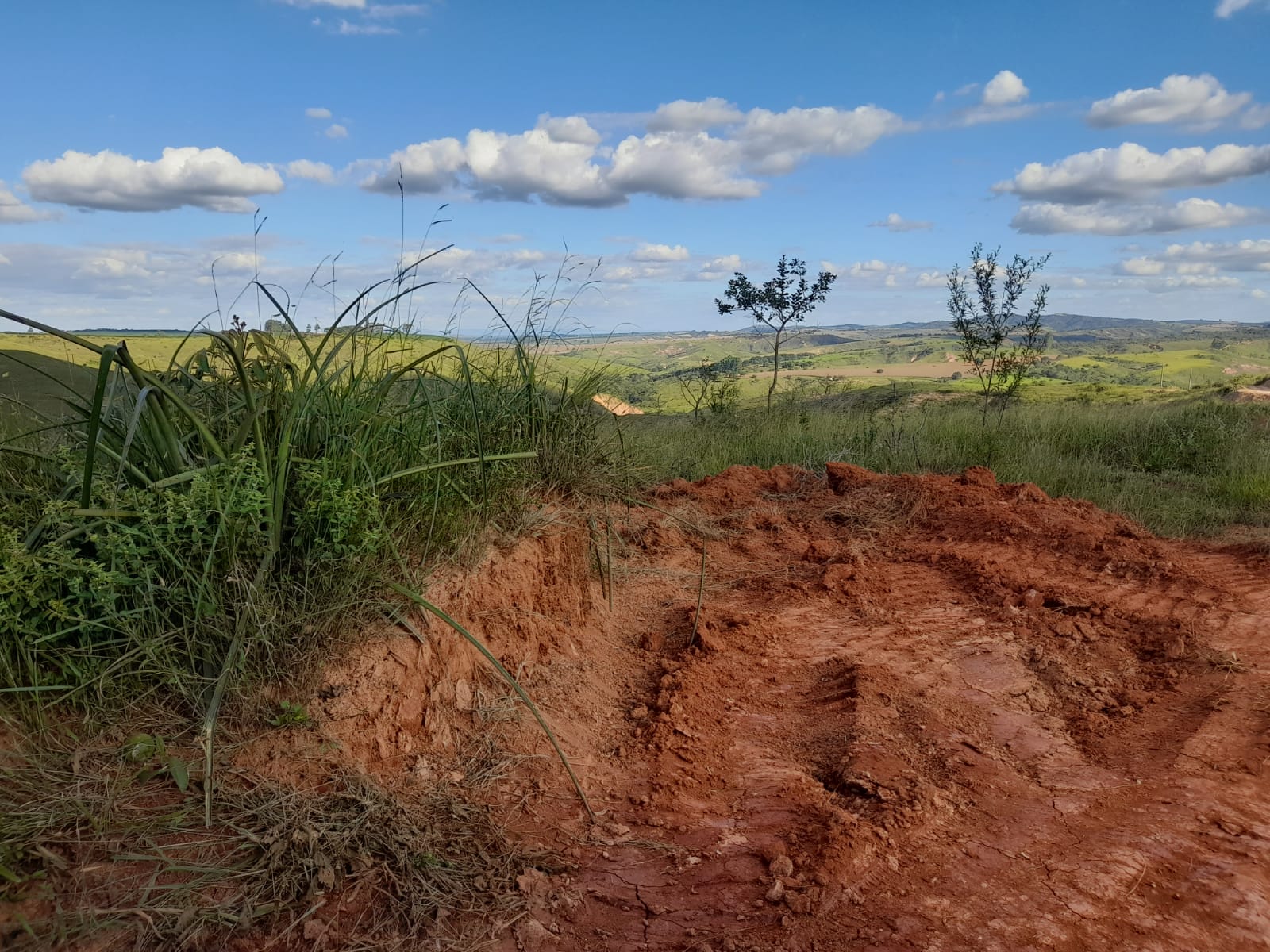 Chácara à venda com 1 quarto, 1000000m² - Foto 16