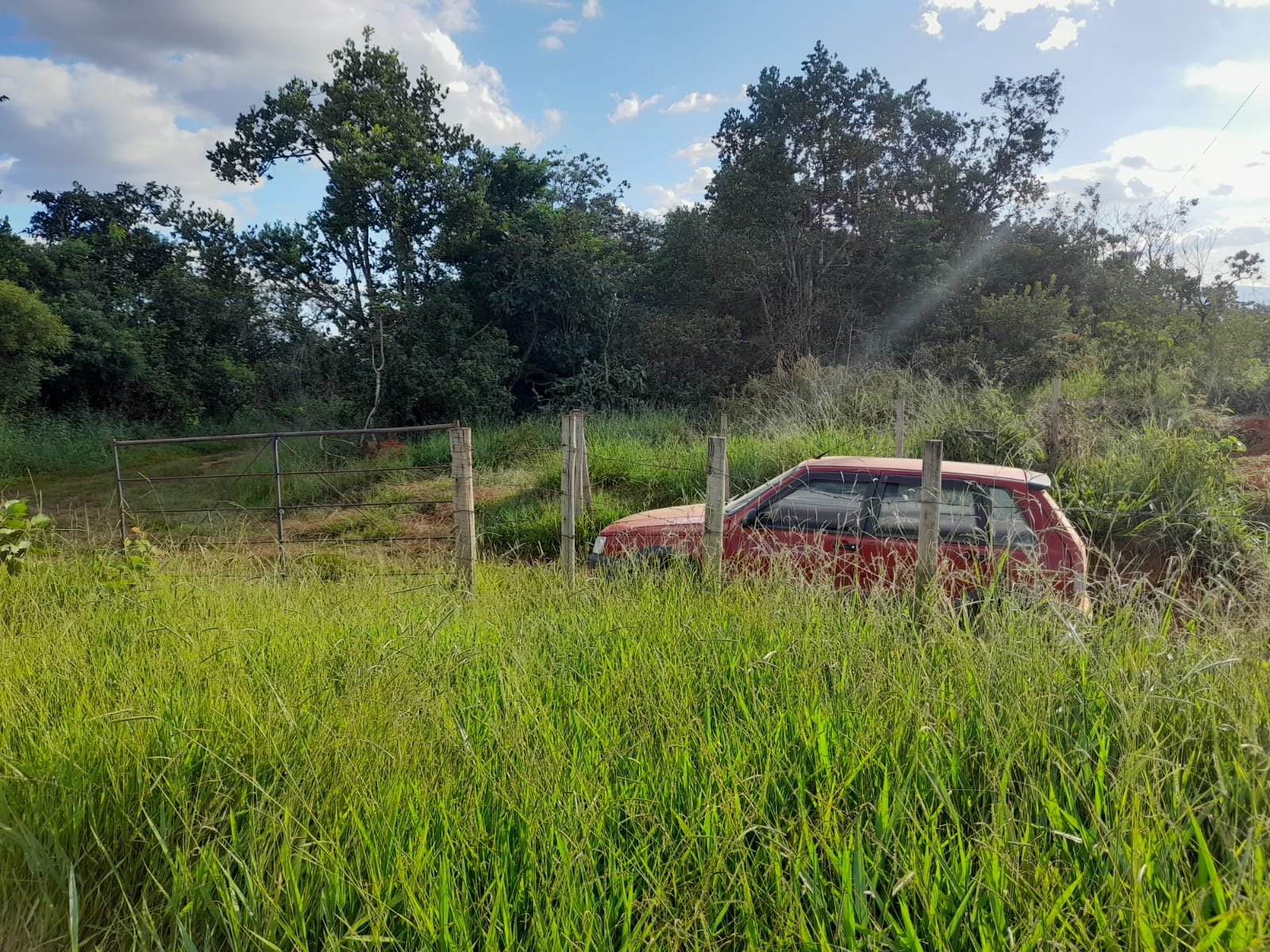 Chácara à venda com 1 quarto, 1000000m² - Foto 11